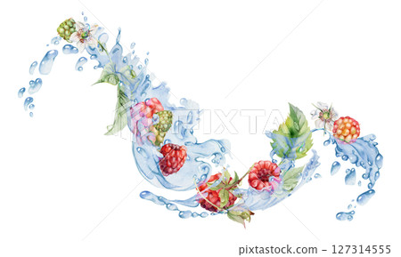 Raspberry ripe garden berries flying in water splash leaves flowers, fresh dewberry cloudberry mulberry loganberry, wet moist dew drops. Isolated illustration hand drawn in watercolor. Drinks grocery 127314555