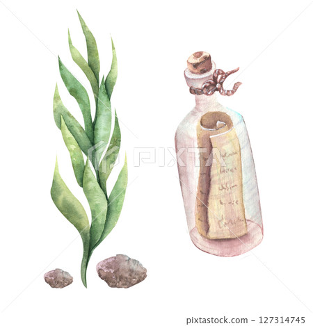 Watercolor seaweed of delicate light green, green color and a bottle with a letter. Marine elements. Watercolor seaweed of delicate light green, green color and a bottle with a letter. Marine elements. 127314745