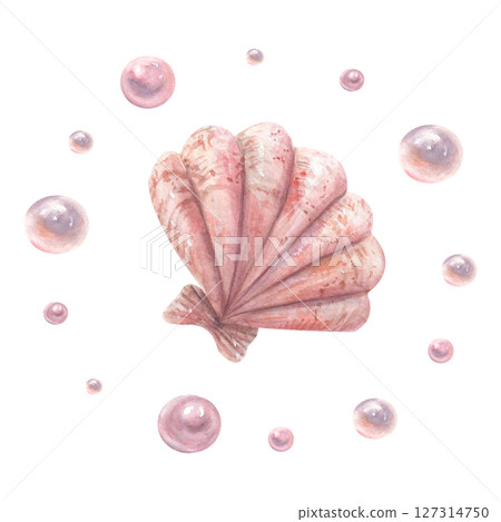 Watercolor shell and pearls. Print on a marine theme in pink, pastel color. 127314750
