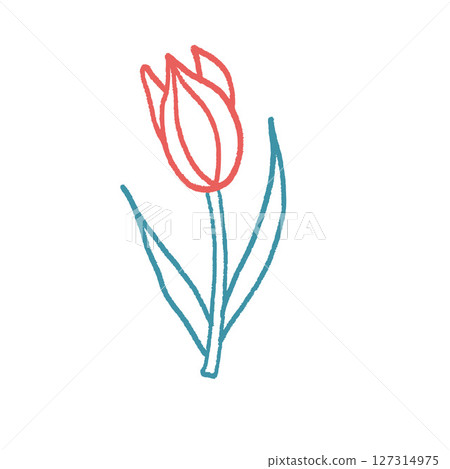 Tulip flower crayon drawn. Spring crocus plant doodle isolated on white background. Summer floral kids element. Chalk or pastel style childish scrawl nature shape. Vector naive illustration by pencil 127314975