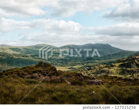 Untamed beauty showcased. Expansive green landscape basks under a clear sky. Remote, wild, and serene. 127315258