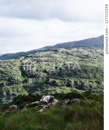 Lush green mountainous area in County Kerry, Ireland. Rolling hills and sparse vegetation give way to rocks and grass near the head of the Gap of Dunloe. 127315259
