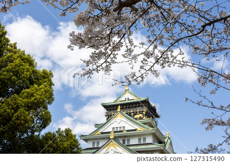 Cherry blossoms and Osaka castle Cherry blossoms and Osaka castle 127315490
