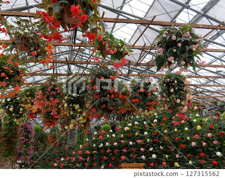 Matsue Vogel Park (Matsue City/Shimane Prefecture) 127315562