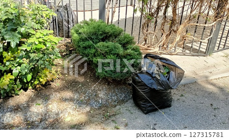 Enhancing Urban Greenery and Waste Management for Sustainable City Development and Growth 127315781