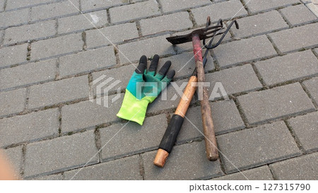 Gardening Tools Located on the Pavement for Urban Gardening and Outdoor Activities Gardening Tools Located on the Pavement for Urban Gardening and Outdoor Activities 127315790