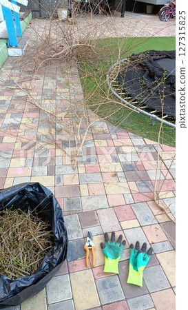 Gardening Cleanup Essential Tools for Pruning and Weeding Your Backyard and Garden Space Gardening Cleanup Essential Tools for Pruning and Weeding Your Backyard and Garden Space 127315825