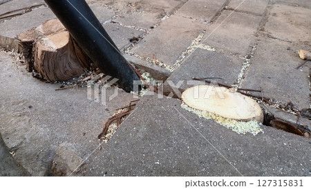 Identifying Tree Stump Removal along with Paving Misalignment Issues in Urban Areas Identifying Tree Stump Removal along with Paving Misalignment Issues in Urban Areas 127315831