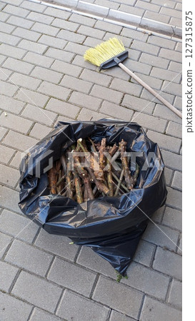Collected various sticks and placed them in a black trash bag using a broom for gathering 127315875