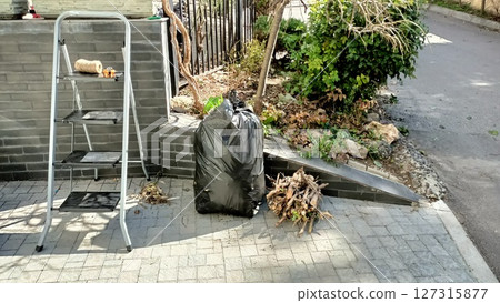 Join us for a community cleanup using ladders to remove leaves and debris for our environment Join us for a community cleanup using ladders to remove leaves and debris for our environment 127315877
