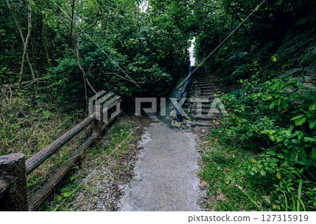 The entrance to the Kannonzaki Sea Cave through the forest of Ishigaki Island - a power spot The entrance to the Kannonzaki Sea Cave through the forest of Ishigaki Island - a power spot 127315919