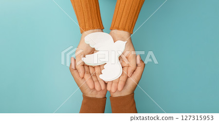 Hands gently holding a white dove symbolizing peace, harmony, human rights, and anti-violence values 127315953