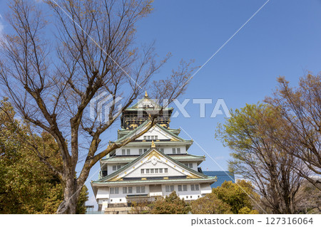 春天的大阪城（2025年4月拍攝） 127316064