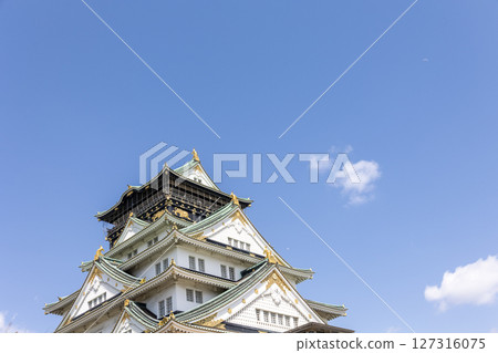 春天的大阪城(2025年4月拍攝) 春天的大阪城(2025年4月拍攝) 127316075