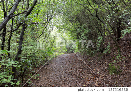 Beautiful landscape of Yokoshima Island in Fukuyama City, Hiroshima Prefecture, Japan 127316286