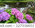 Minazuki: Mountain stream and hydrangeas 127316652