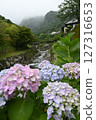 Minazuki: Mountain stream and hydrangeas 127316653