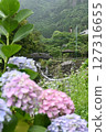 Minazuki: Mountain stream and hydrangeas 127316655
