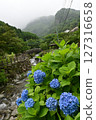Minazuki: Mountain stream and hydrangeas 127316658