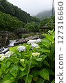 Minazuki: Mountain stream and hydrangeas 127316660