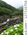 Minazuki: Mountain stream and hydrangeas 127316704