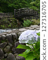 Minazuki: Mountain stream and hydrangeas 127316705