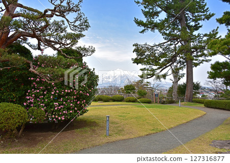 從弘前藤田紀念花園眺望岩木山 127316877