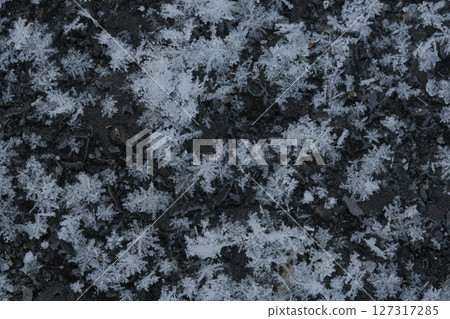 瀝青路面上的雪晶 127317285