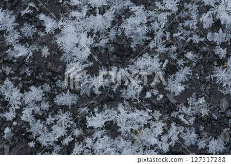 Snow crystals on the asphalt Snow crystals on the asphalt 127317288
