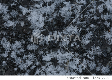 Snow crystals on the asphalt 127317290