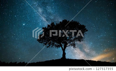Celestial landscape with trees 127317355