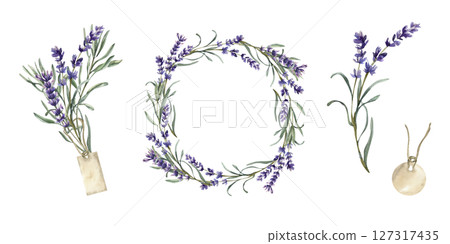 Lavender bouquet with vintage tag,floral violet wreath, blooming flowers stem and paper tag watercolor illustrations set. Isolated elements with aroma herb flowers for wedding,packing design 127317435