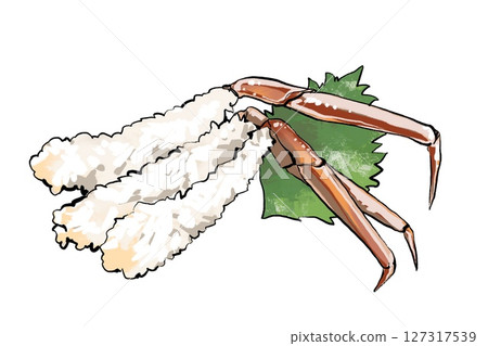 Crab sashimi illustration Crab sashimi illustration 127317539