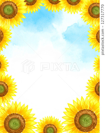 Sunflowers, blue sky, copy space 127317770