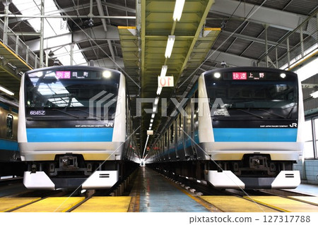 E233系1000系列西102（特快，田町標誌）和西103（特快，上野標誌）在車站排隊 127317788