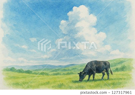 牧場/黑毛和牛 127317961