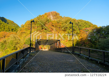 Autumn at Lake Usui in Annaka, Gunma Prefecture Autumn at Lake Usui in Annaka, Gunma Prefecture 127318224