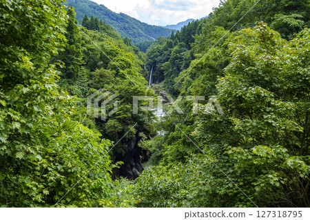 Watagataki Falls: A scenic spot representative of the Tedori Gorge Watagataki Falls: A scenic spot representative of the Tedori Gorge 127318795
