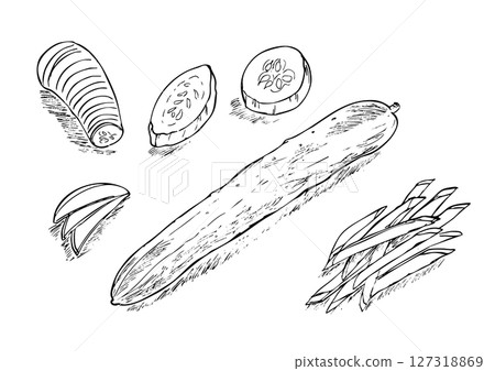 Cucumber, whole and cut, hand-drawn line drawing Cucumber, whole and cut, hand-drawn line drawing 127318869