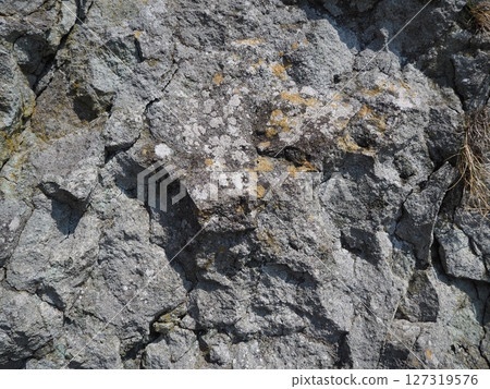 Rock surface material 127319576