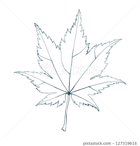 Hand-drawn maple leaf line contour isolated on white background. Flat line style vector illustration. 127319618