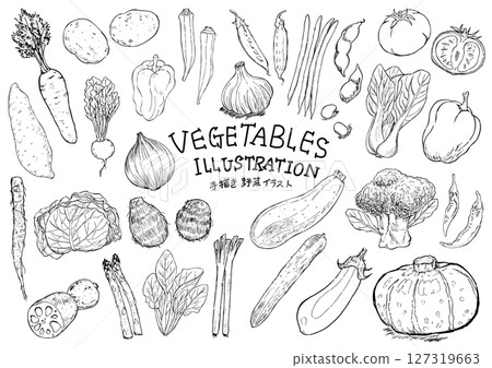 蔬菜手繪插畫集線描 127319663