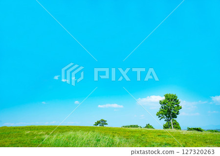 Blue sky and clouds and prairie Blue sky and clouds and prairie 127320263