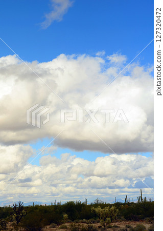 Cloudy Landscape Sonoran Desert Arizona Cloudy Landscape Sonoran Desert Arizona 127320472