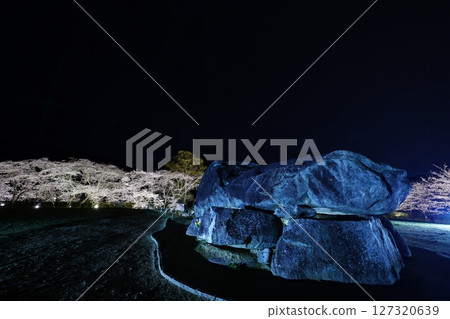 Ishibutai Tomb Cherry Blossom Illumination Ishibutai Tomb Cherry Blossom Illumination 127320639