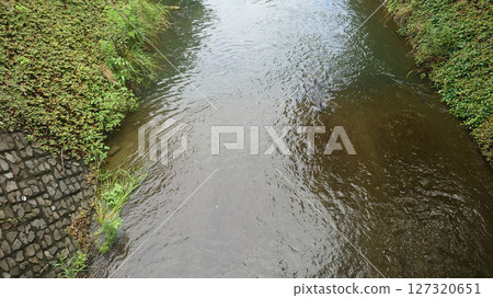 小川的風景 127320651