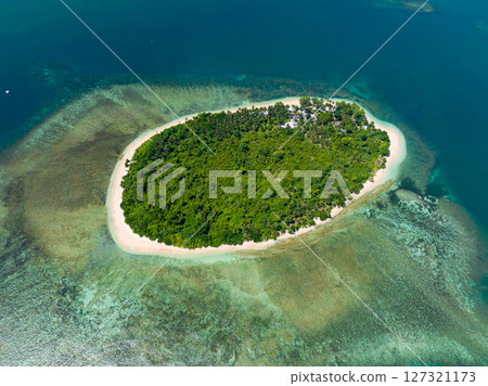 Flying over the Island with a sandy beach and azure water surrounded by a coral reef. Mindanao, Philippines. 127321173