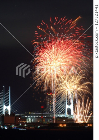 Ashiya Summer Carnival (Ashiya City, Hyogo Prefecture) Fireworks Display 127321441