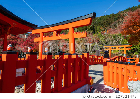 Daruma dolls on wall and torii gate of Katsuo-ji temple, Osaka 127321473