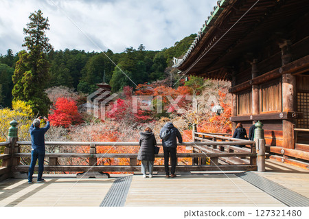 Tourist people at terrace view Hasedera pagoda at autumn, Nara 127321480